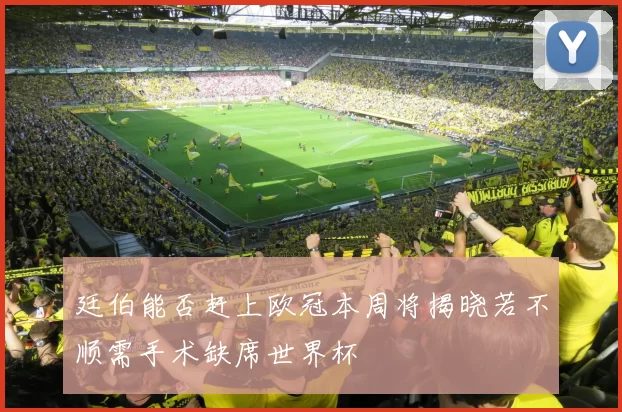 廷伯能否赶上欧冠本周将揭晓若不顺需手术缺席世界杯
